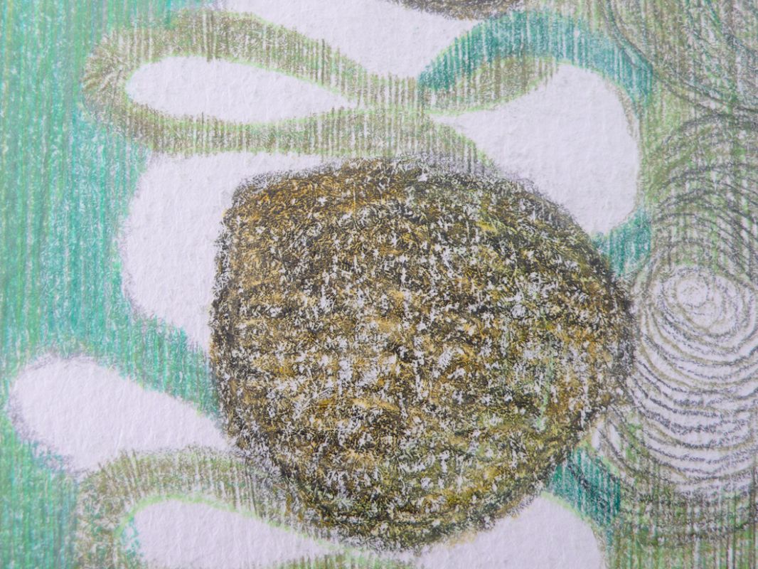 Yvonne van de Griendt, detail tekening 'Mimicry' 2010-11
PHŒBUS•Rotterdam Yvonne van de Griendt, detail tekening 'Mimicry' 2010-11
PHŒBUS•Rotterdam