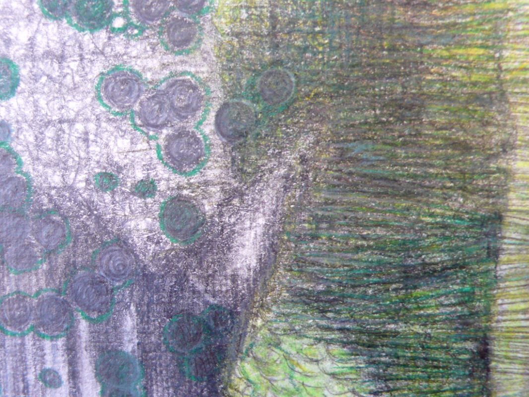 Yvonne van de Griendt, detail tekening 'Mimicry' 2010-11
PHŒBUS•Rotterdam Yvonne van de Griendt, detail tekening 'Mimicry' 2010-11
PHŒBUS•Rotterdam
