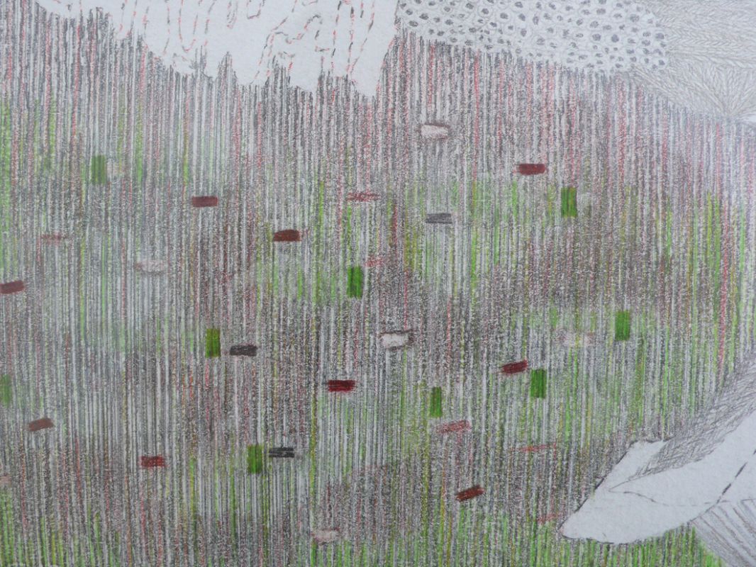 Yvonne van de Griendt, detail tekening 'Mimicry' 2010-11
PHŒBUS•Rotterdam Yvonne van de Griendt, detail tekening 'Mimicry' 2010-11
PHŒBUS•Rotterdam