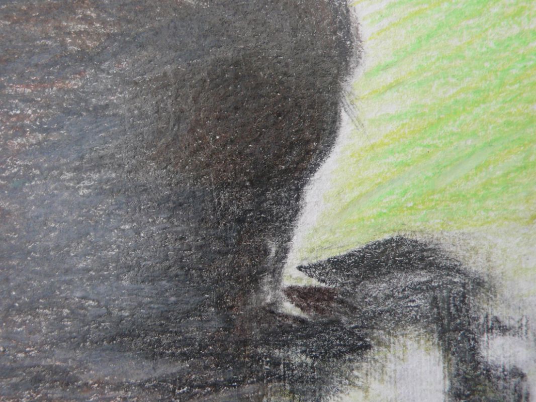 Yvonne van de Griendt, detail tekening 'Mimicry' 2010-11
PHŒBUS•Rotterdam Yvonne van de Griendt, detail tekening 'Mimicry' 2010-11
PHŒBUS•Rotterdam