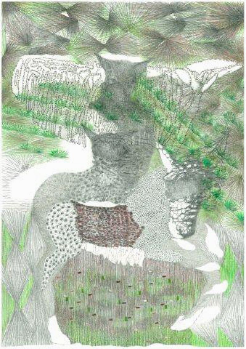 Yvonne van de Griendt, 'Mimicri' [twee ruiters], 2010, tekening in grijze
en kleurpotloden, 45 x 30 cm. op 65 x 50 cm., ingelijst
PHŒBUS•Rotterdam