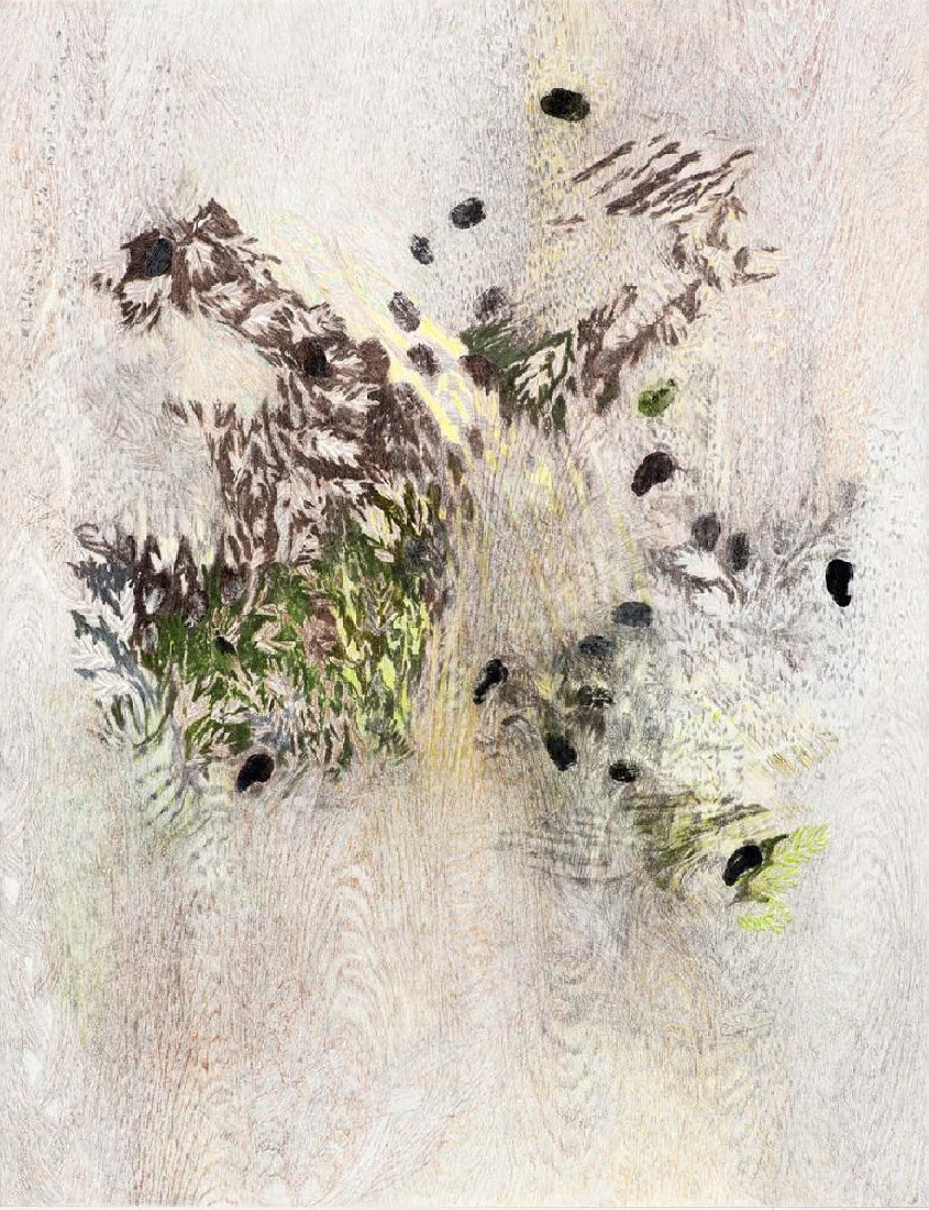 Yvonne van de Griendt, 2017, grijze en kleurpotloden op papier, A4
PHŒBUS•Rotterdam Yvonne van de Griendt, 2017, grijze en kleurpotloden op papier, A4
PHŒBUS•Rotterdam