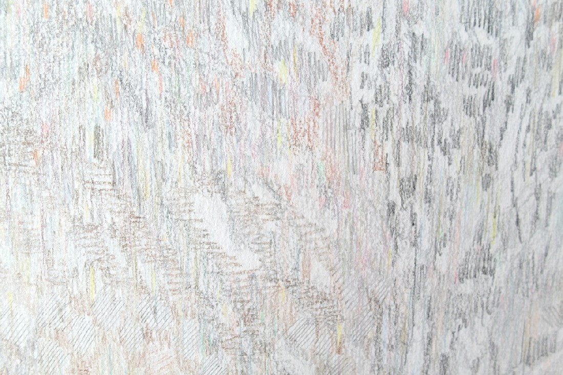 Yvonne van de Griendt, tekening (1) in kleurpotloden 'Botanical Mimicry', 2019,
65 x 50 cm, detail.
PHŒBUS•Rotterdam Yvonne van de Griendt, tekening (1) in kleurpotloden 'Botanical Mimicry', 2019,
65 x 50 cm, detail.
PHŒBUS•Rotterdam