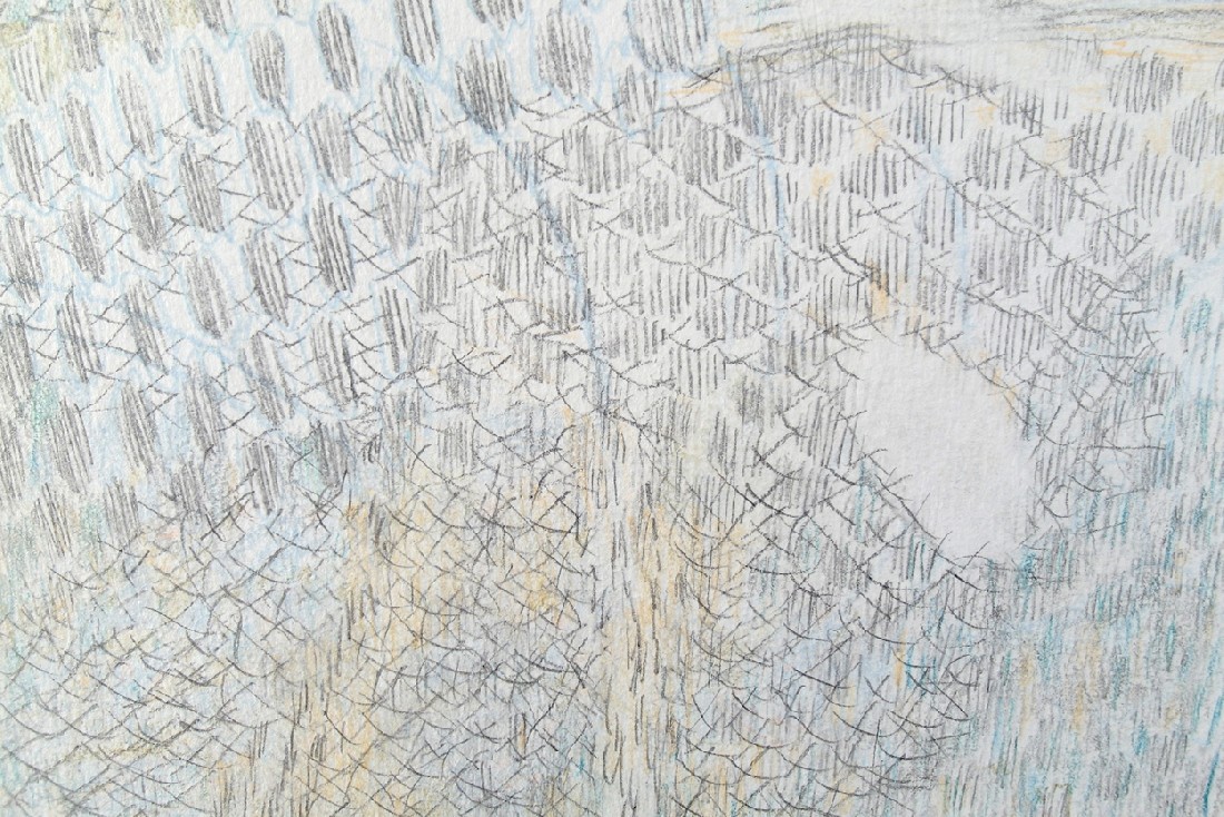 Yvonne van de Griendt, tekening (8) in kleurpotloden 'Botanical Mimicry', 2019,
65 x 50 cm, detail.
PHŒBUS•Rotterdam Yvonne van de Griendt, tekening (8) in kleurpotloden 'Botanical Mimicry', 2019,
65 x 50 cm, detail.
PHŒBUS•Rotterdam