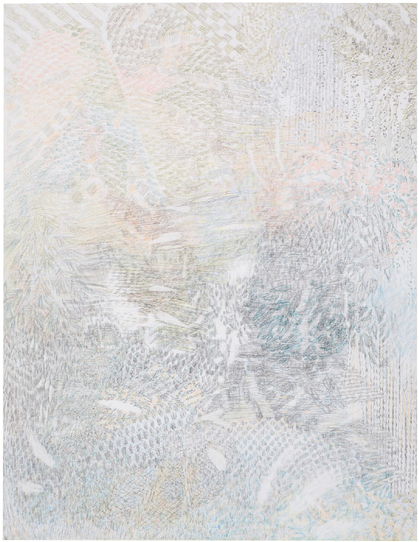 Yvonne van de Griendt, tekening (8) in kleurpotloden 'Botanical Mimicry', 2019,
65 x 50 cm.
PHŒBUS•Rotterdam Yvonne van de Griendt, tekening (8) in kleurpotloden 'Botanical Mimicry', 2019,
65 x 50 cm.
PHŒBUS•Rotterdam