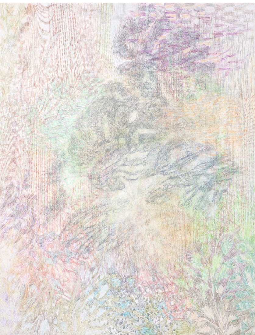Yvonne van de Griendt, tekening in kleurpotloden 'Botanical Mimicry', 2019,
65 x 50 cm
PHŒBUS•Rotterdam Yvonne van de Griendt, tekening in kleurpotloden 'Botanical Mimicry', 2019,
65 x 50 cm
PHŒBUS•Rotterdam