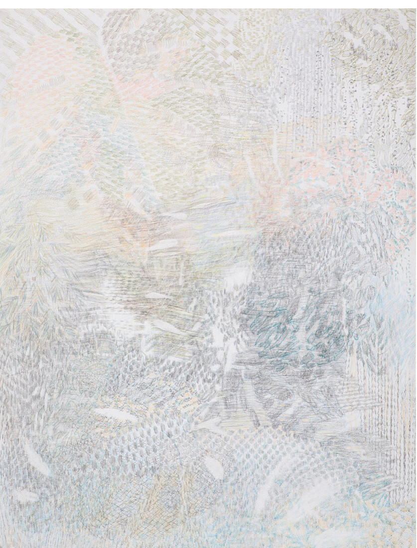 Yvonne van de Griendt, tekening in kleurpotloden 'Botanical Mimicry', 2019, 65 x 50 cm
PHŒBUS•Rotterdam Yvonne van de Griendt, tekening in kleurpotloden 'Botanical Mimicry', 2019, 65 x 50 cm
PHŒBUS•Rotterdam
