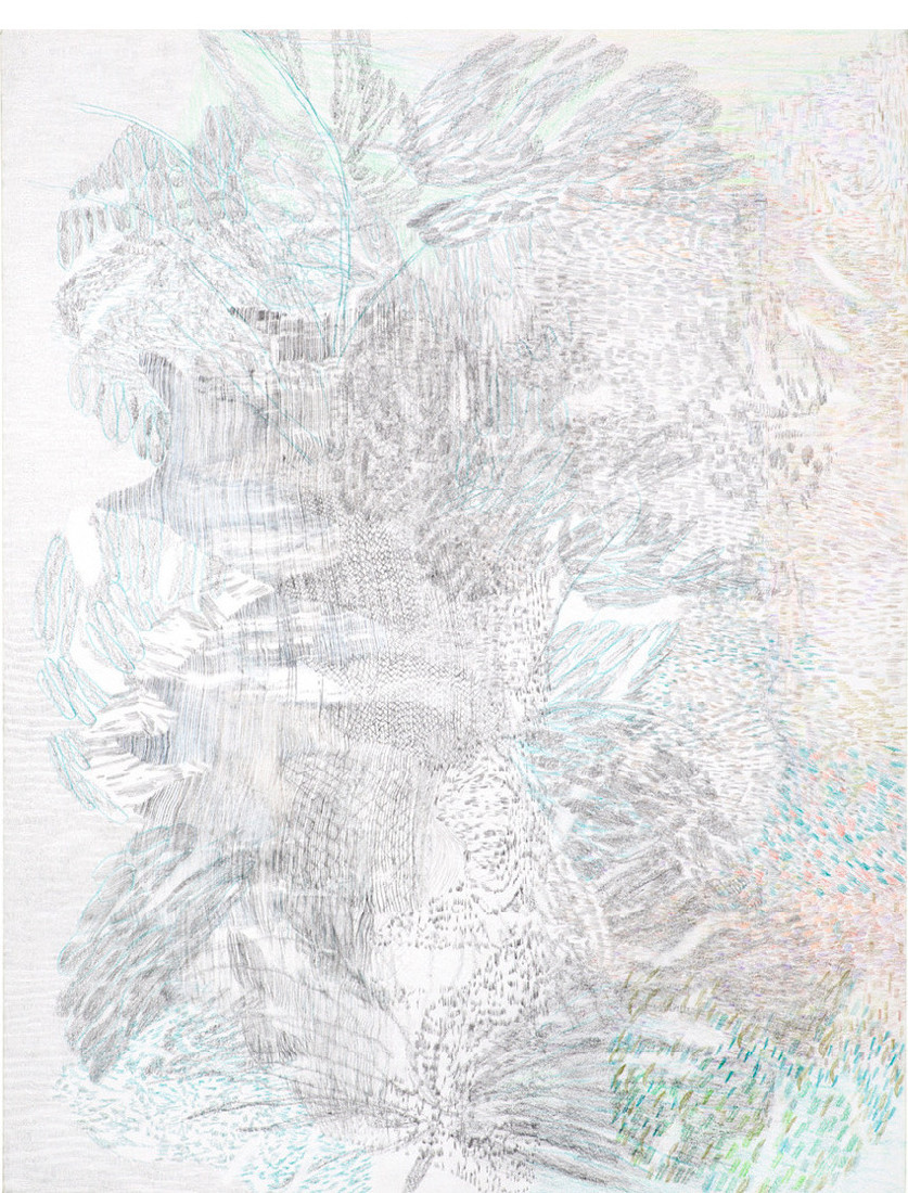 Yvonne van de Griendt, tekening in kleurpotloden 'Botanical Mimicry', 2019,
65 x 50 cm.
PHŒBUS•Rotterdam Yvonne van de Griendt, tekening in kleurpotloden 'Botanical Mimicry', 2019,
65 x 50 cm.
PHŒBUS•Rotterdam