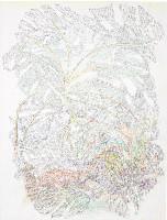 Yvonne van de Griendt, tekening in kleurpotloden 'Botanical Mimicry', 2019, 65 x 50 cm
PHŒBUS•Rotterdam