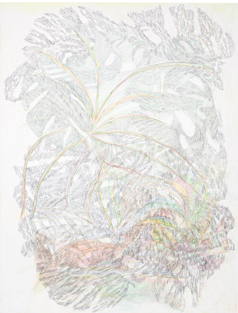 Yvonne van de Griendt, tekening in kleurpotloden 'Botanical Mimicry', 2019, 65 x 50 cm
PHŒBUS•Rotterdam Yvonne van de Griendt, tekening in kleurpotloden 'Botanical Mimicry', 2019, 65 x 50 cm
PHŒBUS•Rotterdam
