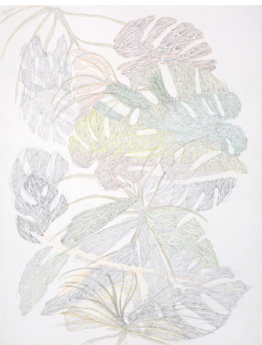 Yvonne van de Griendt, tekening in kleurpotloden 'Botanical Mimicry', 2019, 65 x 50 cm
PHŒBUS•Rotterdam Yvonne van de Griendt, tekening in kleurpotloden 'Botanical Mimicry', 2019, 65 x 50 cm
PHŒBUS•Rotterdam