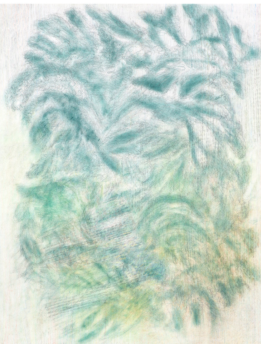 Yvonne van de Griendt, tekening in kleurpotloden 'Botanical Mimicry', 2019, 65 x 50 cm
PHŒBUS•Rotterdam Yvonne van de Griendt, tekening in kleurpotloden 'Botanical Mimicry', 2019, 65 x 50 cm
PHŒBUS•Rotterdam