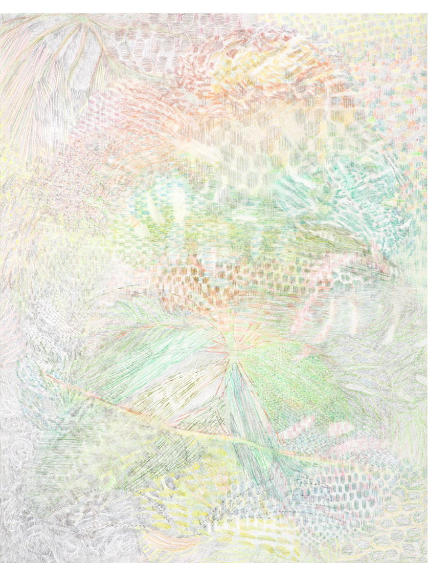 Yvonne van de Griendt, tekening in kleurpotloden 'Botanical Mimicry', 2019, 65 x 50 cm
PHŒBUS•Rotterdam Yvonne van de Griendt, tekening in kleurpotloden 'Botanical Mimicry', 2019, 65 x 50 cm
PHŒBUS•Rotterdam
