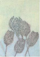 Yvonne van de Griendt, “Tulpen en een magnolia ”, 2021, potlood en pastel op papier,  A4.
PHŒBUS•Rotterdam