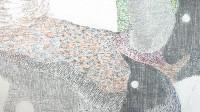 Yvonne van de Griendt, 2013, tekening in grijze en kleurpotloden op papier,

0.70 x 1 m., detail
PHŒBUS•Rotterdam