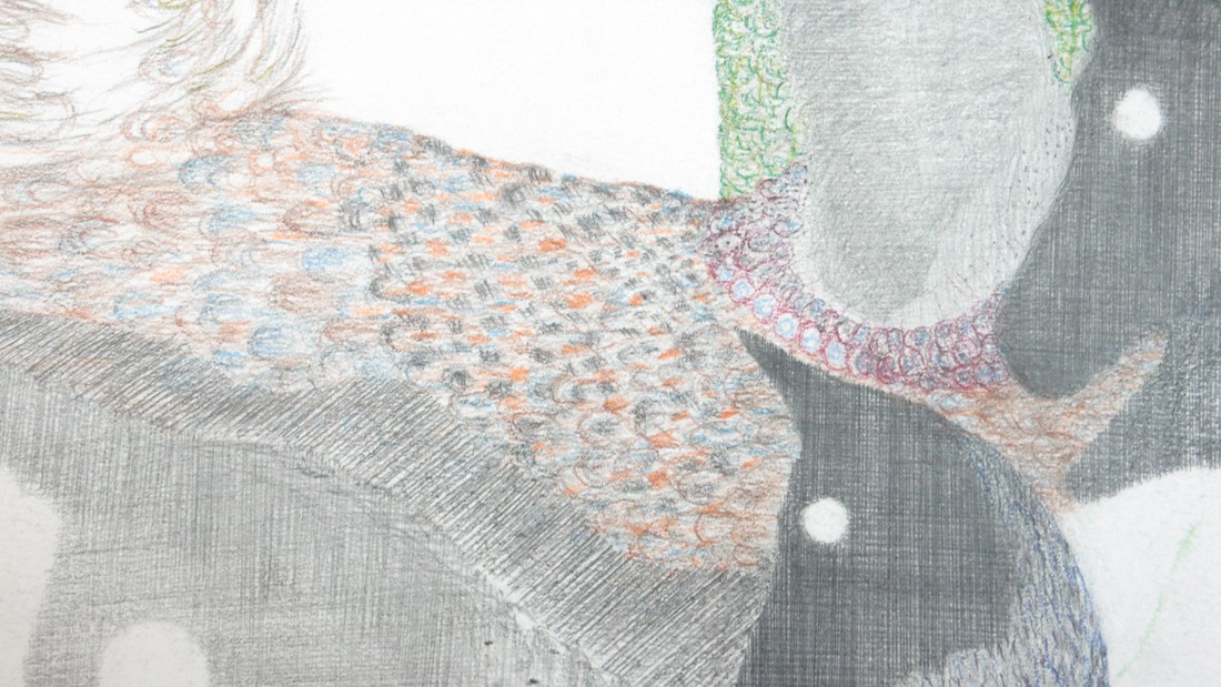 Yvonne van de Griendt, 2013, tekening in grijze en kleurpotloden op papier,
0.70 x 1 m., detail
PHŒBUS•Rotterdam Yvonne van de Griendt, 2013, tekening in grijze en kleurpotloden op papier,
0.70 x 1 m., detail
PHŒBUS•Rotterdam