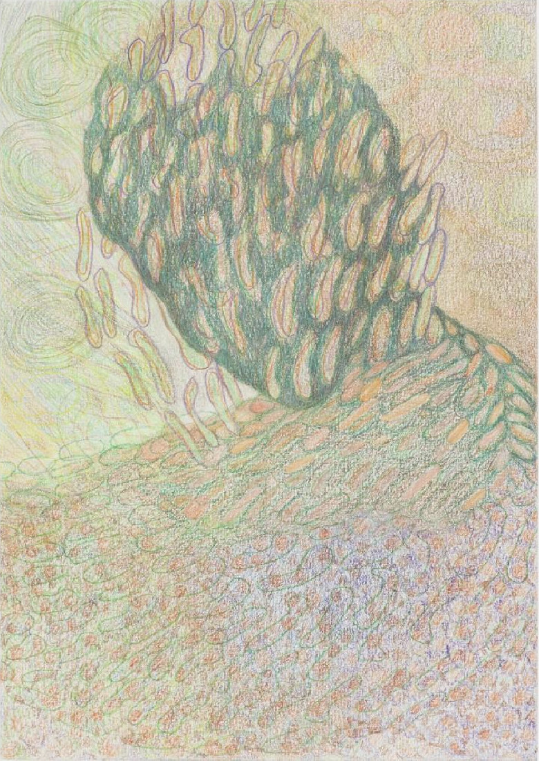 Yvonne van de Griendt, 2017, grijze en kleurpotloden op papier, A4
PHŒBUS•Rotterdam Yvonne van de Griendt, 2017, grijze en kleurpotloden op papier, A4
PHŒBUS•Rotterdam