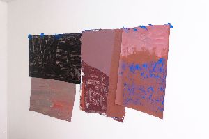 Stefan Gritsch, ''Hauten'', 2009, vier 'huiden' van ppr acrylverf,

met blauwe acrylverf aan de wand vastgemaakt.
PHŒBUS•Rotterdam