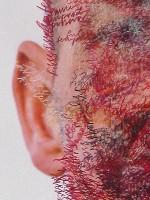 Toine Horvers, ''Head and Neck. Coronal Sections 04 [licht]'', 2004,

kleurpotlood op foto-afdruk, 1.50 x 1 m., detail.
PHŒBUS•Rotterdam