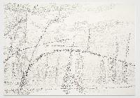 Toine Horvers, Puszca Bialowieska - B, 2000, grijze potloden op papier,

0.70 x 1 m.
PHŒBUS•Rotterdam