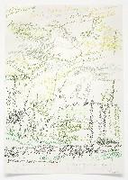 Toine Horvers, Puszca Bialowieska - E, 2000, kleurpotloden op papier,

1 x 0.70 m.
PHŒBUS•Rotterdam