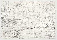 Toine Horvers, Puszca Bialowieska - A, 2000, grijze potloden op papier,

0.70 x 1 m.
PHŒBUS•Rotterdam