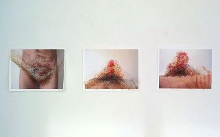 Toine Horvers, expositie ''Made in Rotterdam'', drie werken 'Intimate Self -portrait', 2005, kleurpotloden/foto, elk 0.50 x 0.65 m.
PHŒBUS•Rotterdam