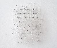 Hans Houwing, z.t. 2014, volièregaas   plastic, 40 x 30 x 11 cm.
PHŒBUS•Rotterdam