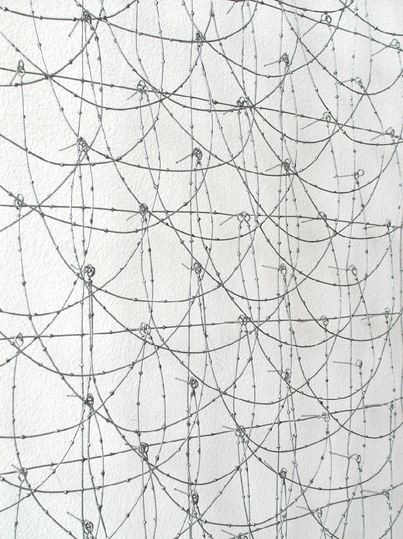Hans Houwing, z.t. 2006, volièregaas, 56 x 31 x 3 cm. - detail
PHŒBUS•Rotterdam
