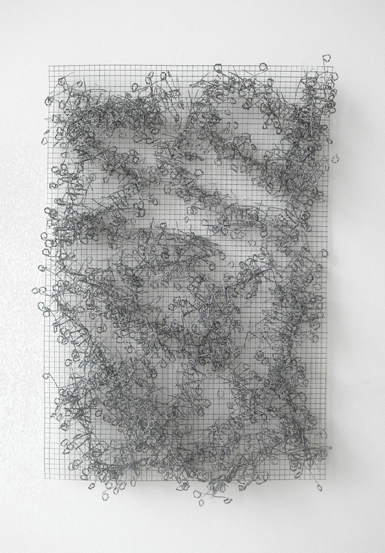 Hans Houwing, z.t. 16-11-16, kippengaas en ongediertegaas, 51,5 x 35 x 4 cm. , detail
PHŒBUS•Rotterdam