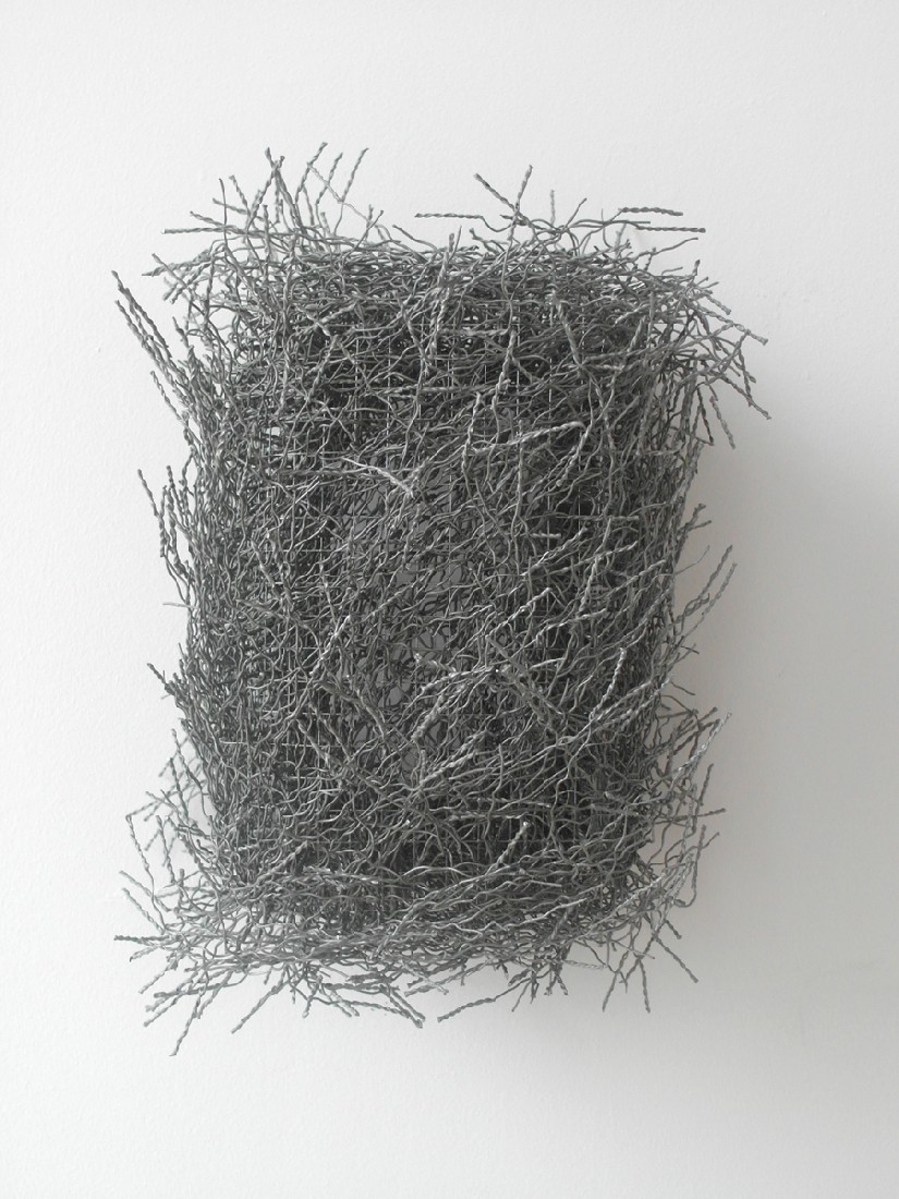 Hans Houwing, z.t. 25.3.16 [blok stevige sprieten/dik nest], kippen- en volièregaas, 40x27x19 cm., detail
PHŒBUS•Rotterdam