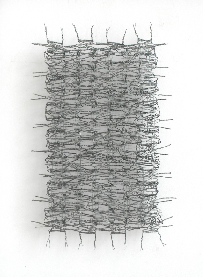 Hans Houwing, 2018, 42 x 27 x 7 cm., kippengaas en ongedierte-gaas
PHŒBUS•Rotterdam