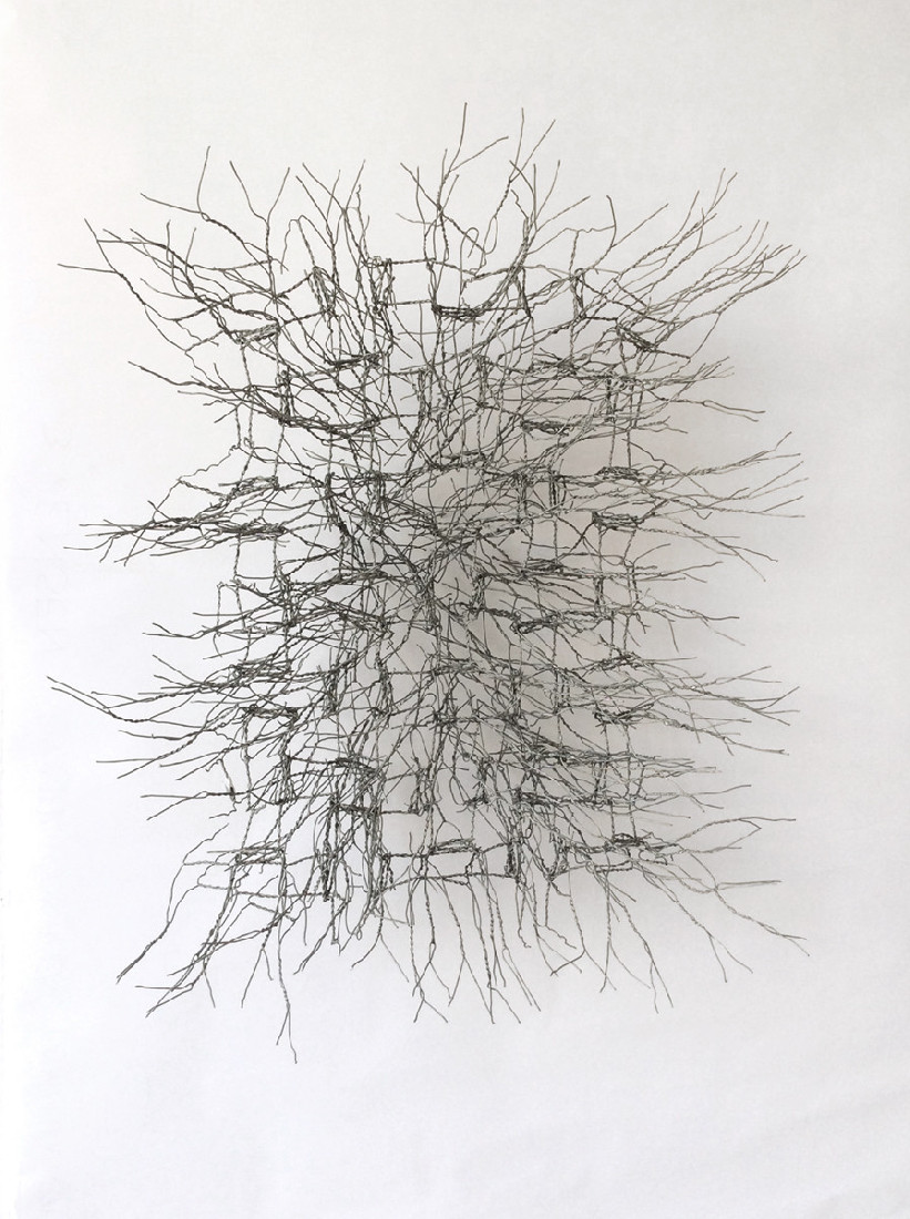 Hans Houwing, z.t. 18-3-2020, kippengaas, 56 x 46 x 16 cm.
PHŒBUS•Rotterdam
