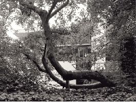 Irmel Kamp, foto: Raphael Delville, Huis 1930, Brussel
PHŒBUS•Rotterdam