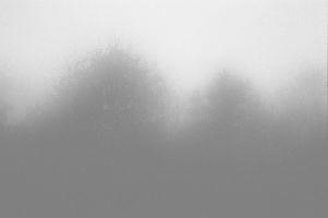 Toshiya Kobayashi, `Landscape in the Mist`, 2003-2005, 50 x 75 cm.
PHŒBUS•Rotterdam