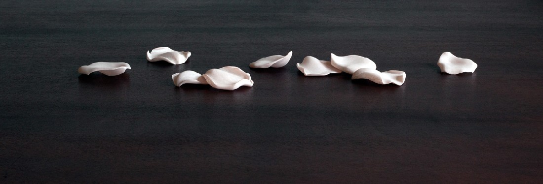 Lynne Leegte ‘The petals’, 2015, albast rozenblaadjes, elk ca 7 x 2 x 6 cm.
PHŒBUS•Rotterdam Lynne Leegte ‘The petals’, 2015, albast rozenblaadjes, elk ca 7 x 2 x 6 cm.
PHŒBUS•Rotterdam
