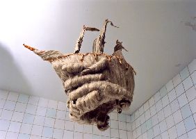 Regula Maria Müller, 'haarboeket / pruikboot', 2001, vlas, glaskralen, metalen ketting,

ca. 80 cm.
PHŒBUS•Rotterdam