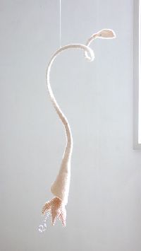 Regula Maria Müller, bloem, vilt, glas, glaskralen, 2008, ca. h 40 cm.
PHŒBUS•Rotterdam