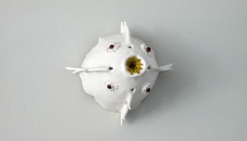 Regula Maria Müller, object in keramiek en glaskralen, 2006, ø ca. 15 cm.
PHŒBUS•Rotterdam