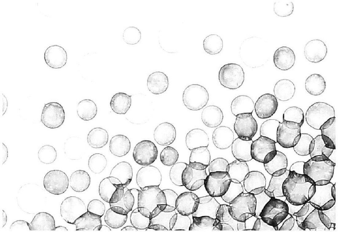 Jadranka Njegovan, detail van: BC-2021-1, inkt en gesso op papier, 50 x 94,4 cm. (in lijst ca. 65 x 110, museumglas 70% UV-werend). NB zie ook de film
PHŒBUS•Rotterdam Jadranka Njegovan, detail van: BC-2021-1, inkt en gesso op papier, 50 x 94,4 cm. (in lijst ca. 65 x 110, museumglas 70% UV-werend). NB zie ook de film
PHŒBUS•Rotterdam