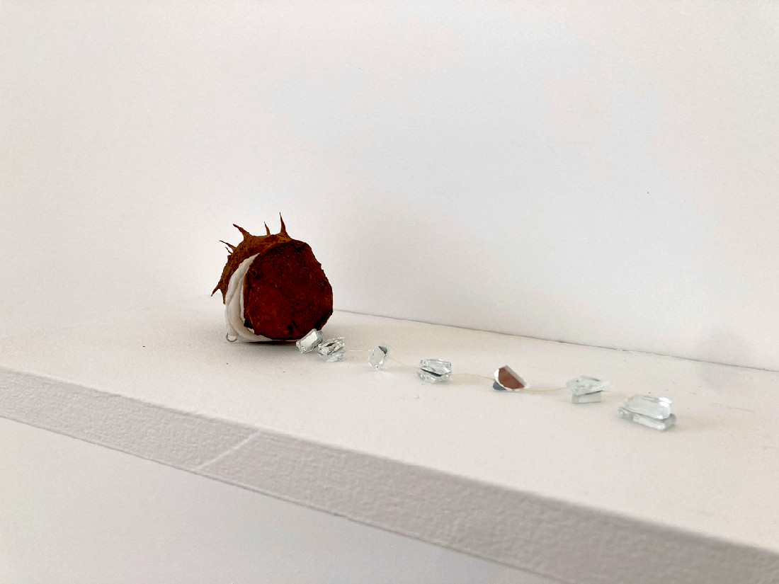 Sara Nuytemans, Sara Nuytemans, Observatory of the Self 10.1 (2022)
Een bolster van een wilde kastanje is opengemaakt, aan de binnenkant bekleed met parelmoer boetseerpasta, daaronder zijn in de holte van de kastanje en in het losse afsluitende deel, magneetjes geplaatst, zodat de bolster gemakkelijk open en sluiten kan – hoewel de stekelige naalden aan de buitenzijde om alle voorzichtigheid vragen. Van binnen een draad met zeven stukjes gebroken spiegel – pijnlijk snoer. Enigmatisch vrouwensieraad. Medaillon.
PHŒBUS•Rotterdam Sara Nuytemans, Sara Nuytemans, Observatory of the Self 10.1 (2022)
Een bolster van een wilde kastanje is opengemaakt, aan de binnenkant bekleed met parelmoer boetseerpasta, daaronder zijn in de holte van de kastanje en in het losse afsluitende deel, magneetjes geplaatst, zodat de bolster gemakkelijk open en sluiten kan – hoewel de stekelige naalden aan de buitenzijde om alle voorzichtigheid vragen. Van binnen een draad met zeven stukjes gebroken spiegel – pijnlijk snoer. Enigmatisch vrouwensieraad. Medaillon.
PHŒBUS•Rotterdam