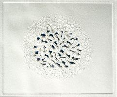 expositie PERFORS 2005, Regula Maria Müller, ''Oreaster blu blu III'', 2003, dubbele blinddruk, geperforeerd, op papier, waterverf, beeldmaat 25 x 29.5 cm., ingelijst 43 x 52.5 cm.
PHŒBUS•Rotterdam