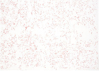 George le Roy, tekening in rode ballpoint op papier, 1 x 0.70 m., in lijst
PHŒBUS•Rotterdam