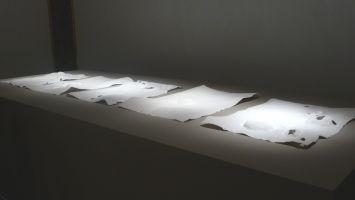 Amparo Sard, geperforeerd papieren reliëfs, 2009, 50 x 65 cm.
PHŒBUS•Rotterdam