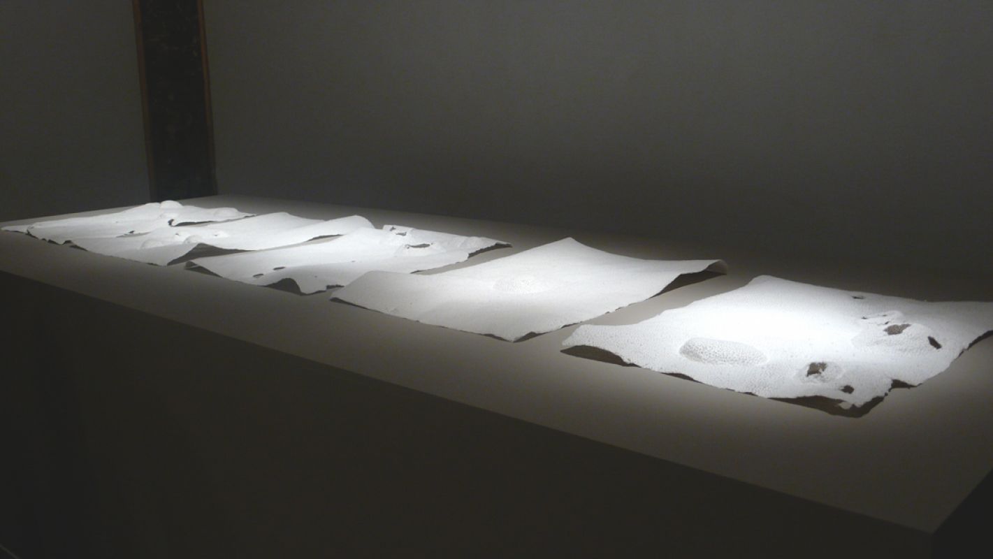 Amparo Sard, geperforeerd papieren reliëfs, 2009, 50 x 65 cm.
PHŒBUS•Rotterdam Amparo Sard, geperforeerd papieren reliëfs, 2009, 50 x 65 cm.
PHŒBUS•Rotterdam