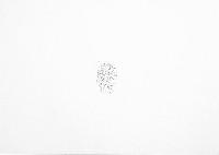 Amparo Sard, deel I uit zevendelige serie, geperforeerd papierreliëf, 32 x 46,5 cm.
PHŒBUS•Rotterdam
