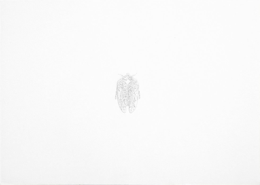 Amparo Sard, deel I uit zevendelige serie, geperforeerd papierreliëf, 32 x 46,5 cm.
PHŒBUS•Rotterdam Amparo Sard, deel I uit zevendelige serie, geperforeerd papierreliëf, 32 x 46,5 cm.
PHŒBUS•Rotterdam