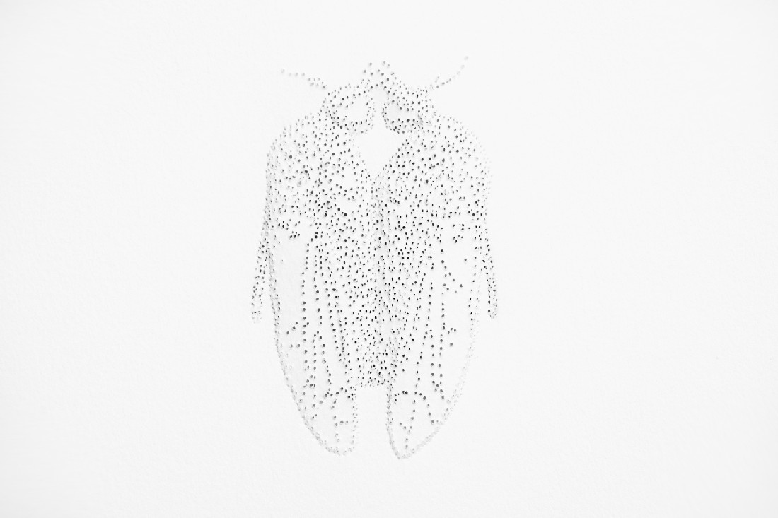 Amparo Sard, detail van het eerste deel van een geperforeerd papierreliëf (twee vliegen), 2007; uit een reeks van zeven werken waarin twee vliegen het dubbele zelfportret van Amparo Sard lijken te construeren, danwel - bij omgekeerde lezing - te consumeren; elk reliëf 32 x 46,5 cm.
PHŒBUS•Rotterdam Amparo Sard, detail van het eerste deel van een geperforeerd papierreliëf (twee vliegen), 2007; uit een reeks van zeven werken waarin twee vliegen het dubbele zelfportret van Amparo Sard lijken te construeren, danwel - bij omgekeerde lezing - te consumeren; elk reliëf 32 x 46,5 cm.
PHŒBUS•Rotterdam