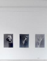 Eva-Maria Schön, expositie 2017-18, drie fotowerken - n.a.v. fotogrammen
PHŒBUS•Rotterdam