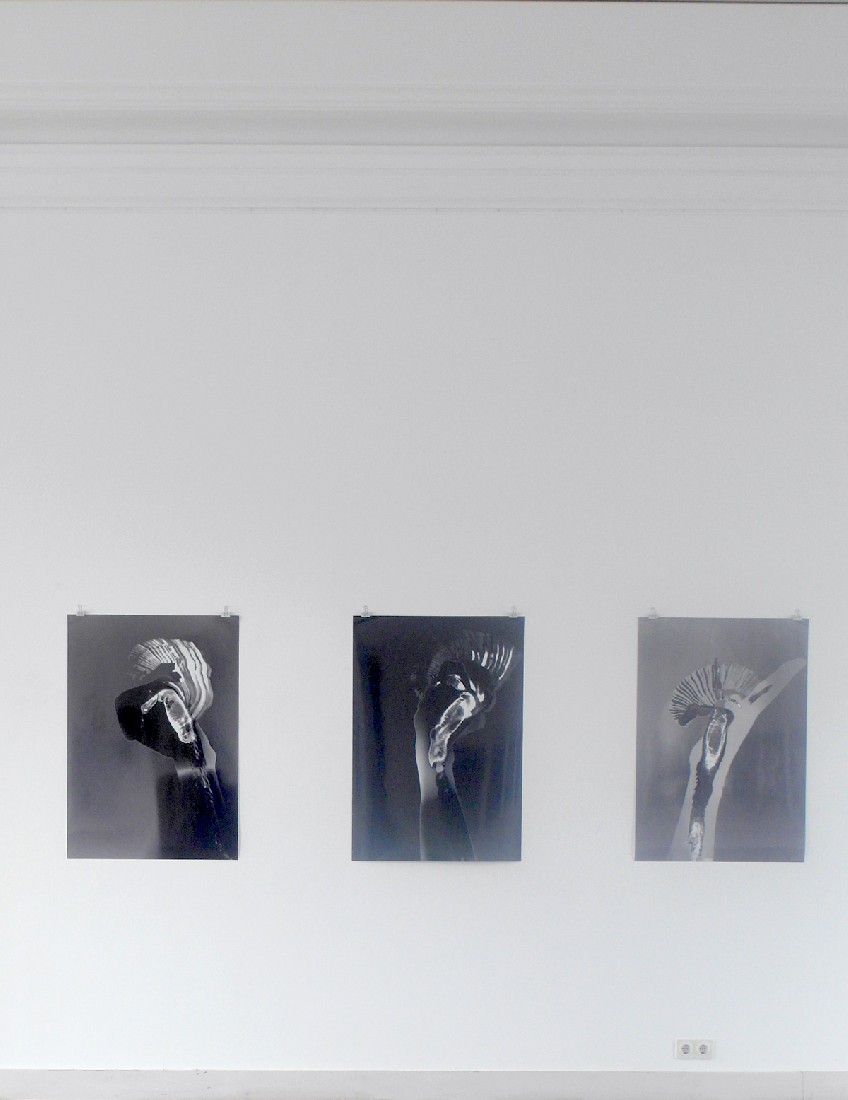 Eva-Maria Schön, expositie 2017-18, drie fotowerken - n.a.v. fotogrammen
PHŒBUS•Rotterdam Eva-Maria Schön, expositie 2017-18, drie fotowerken - n.a.v. fotogrammen
PHŒBUS•Rotterdam